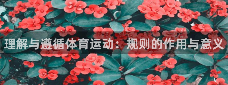 谈球吧体育