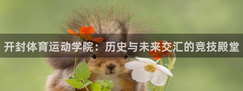 谈球吧体育官网