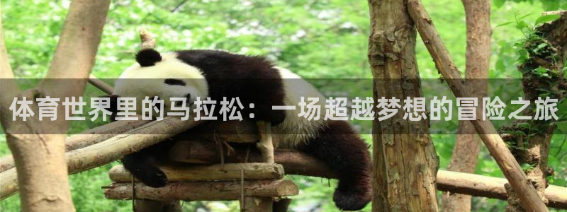 谈球吧体育：体育世界里的马拉松：一场超越梦想的冒险之旅