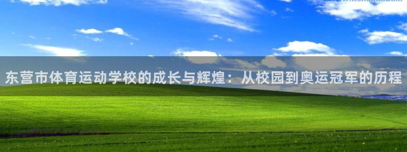 谈球吧体育官网：东营市体育运动学校的成长与辉煌：从校园到奥运冠军的历程