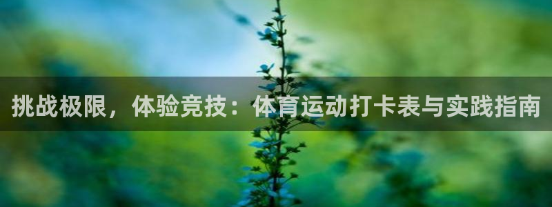 谈球吧体育：挑战极限，体验竞技：体育运动打卡表与实践指南