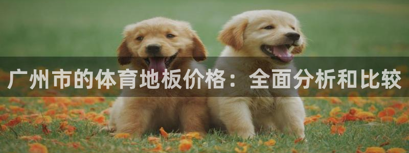 谈球吧体育