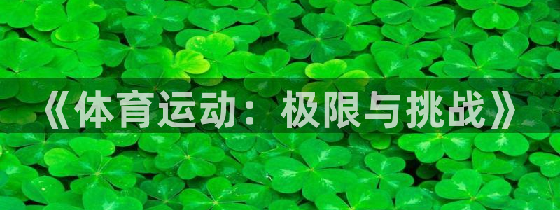 谈球吧体育官网：《体育运动：极限与挑战》