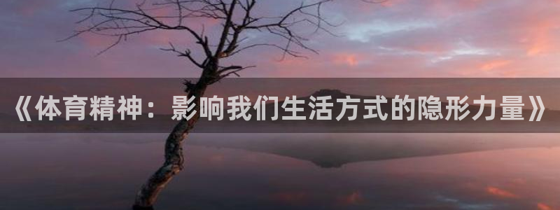 谈球吧体育：《体育精神：影响我们生活方式的隐形力量》
